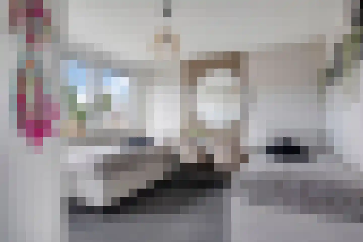 Burg. Bogmanstraat 15 Schimmert thumbnail 32
