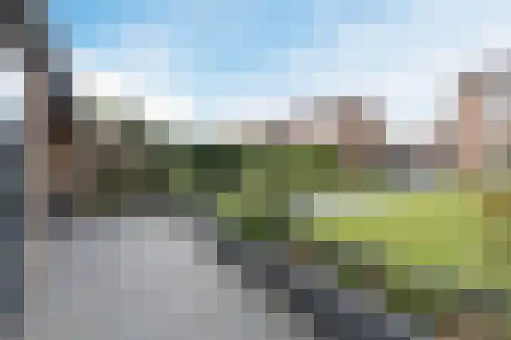 Burg.Bosch Bruiststraat 22 Nieuwleusen thumbnail 27