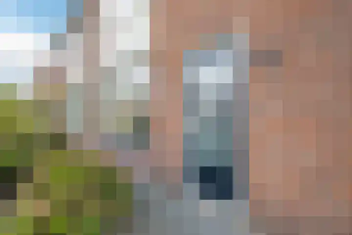 Burg.Bosch Bruiststraat 22 Nieuwleusen thumbnail 4