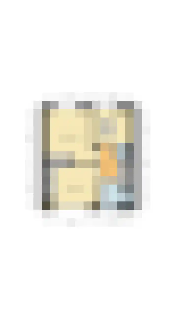 Burg.Bosch Bruiststraat 22 Nieuwleusen thumbnail 44