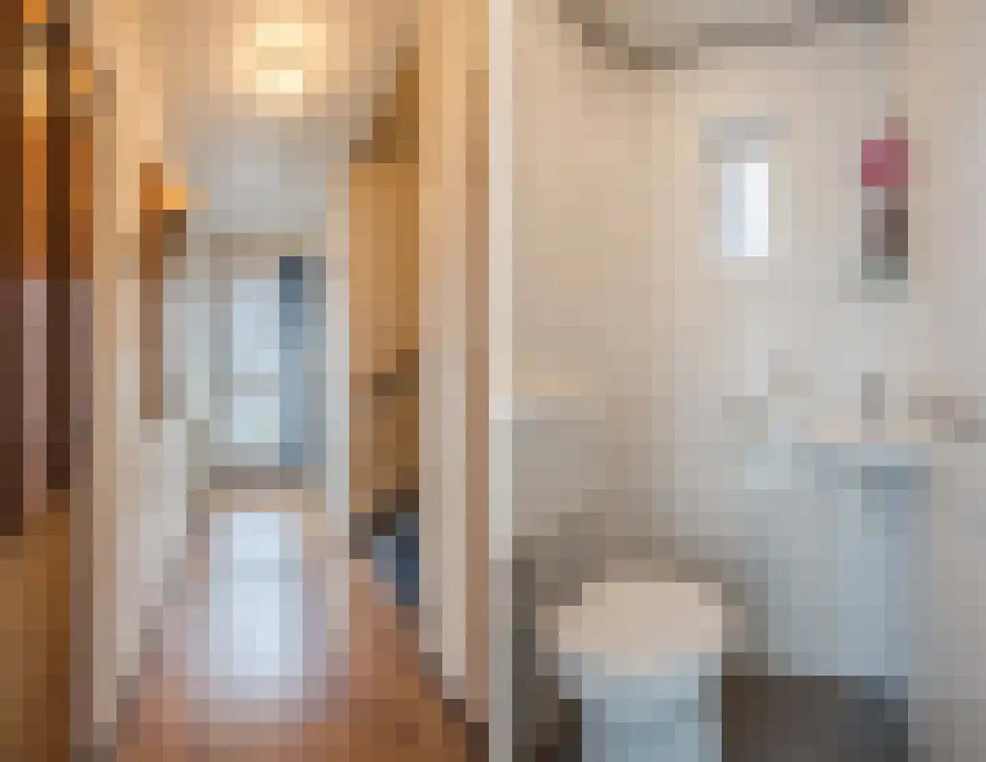 Burg.Bosch Bruiststraat 24 Nieuwleusen thumbnail 13