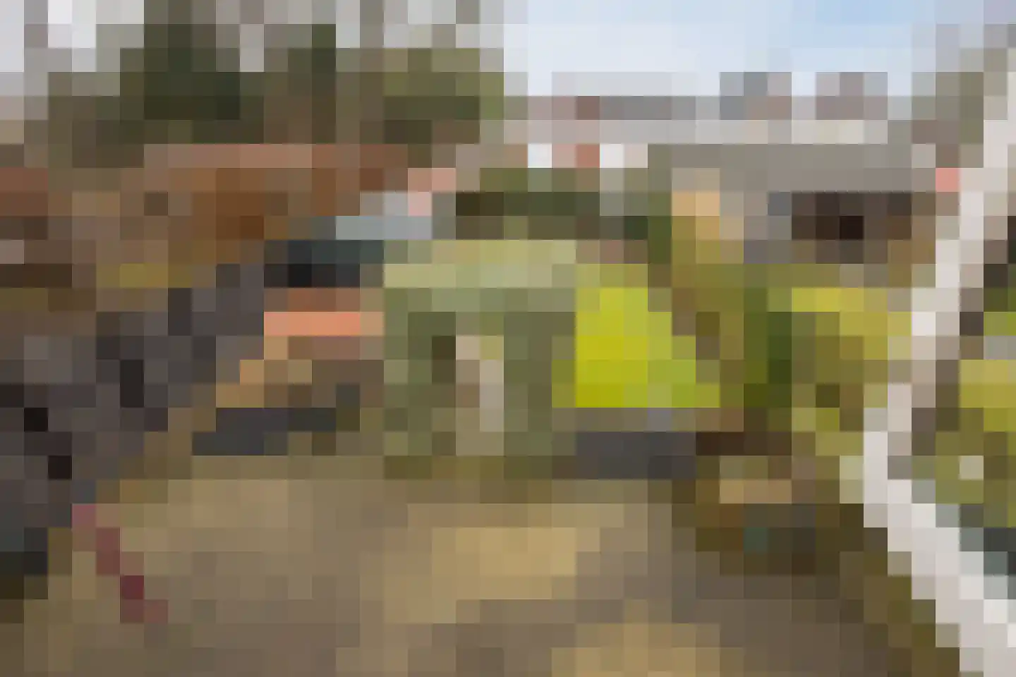 Burg.Bosch Bruiststraat 24 Nieuwleusen thumbnail 30