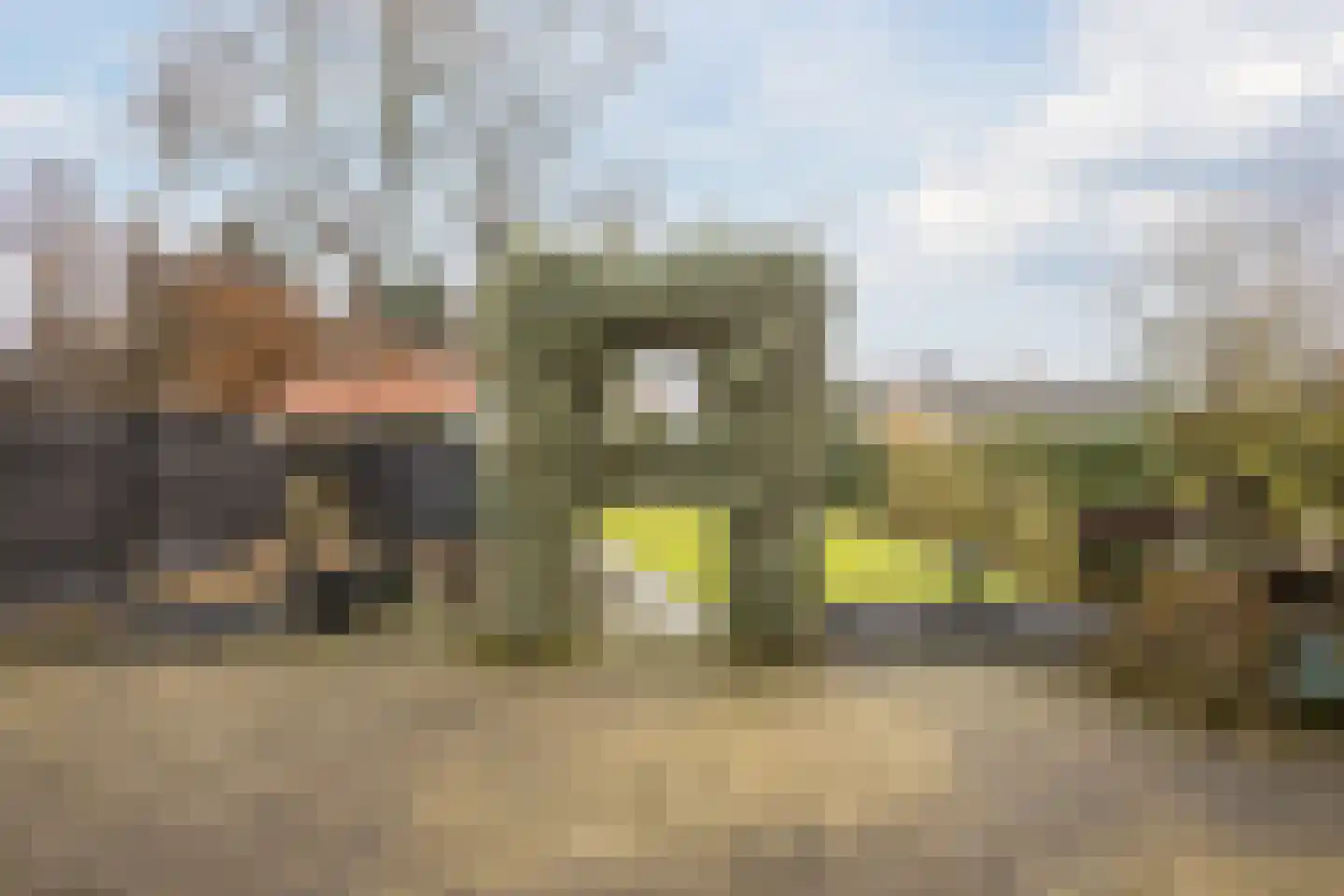 Burg.Bosch Bruiststraat 24 Nieuwleusen thumbnail 32