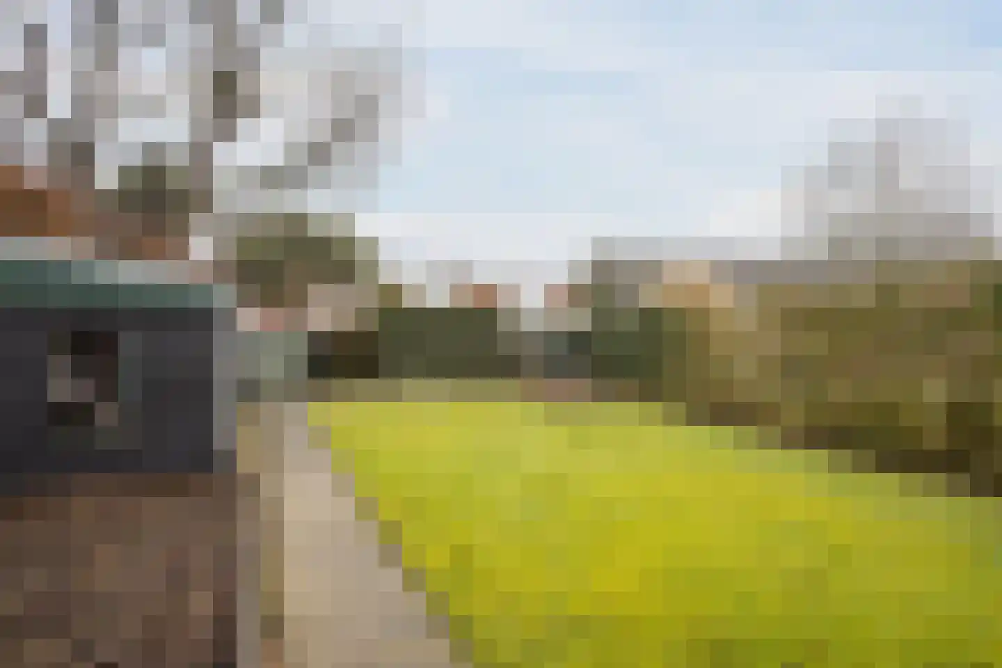 Burg.Bosch Bruiststraat 24 Nieuwleusen thumbnail 34
