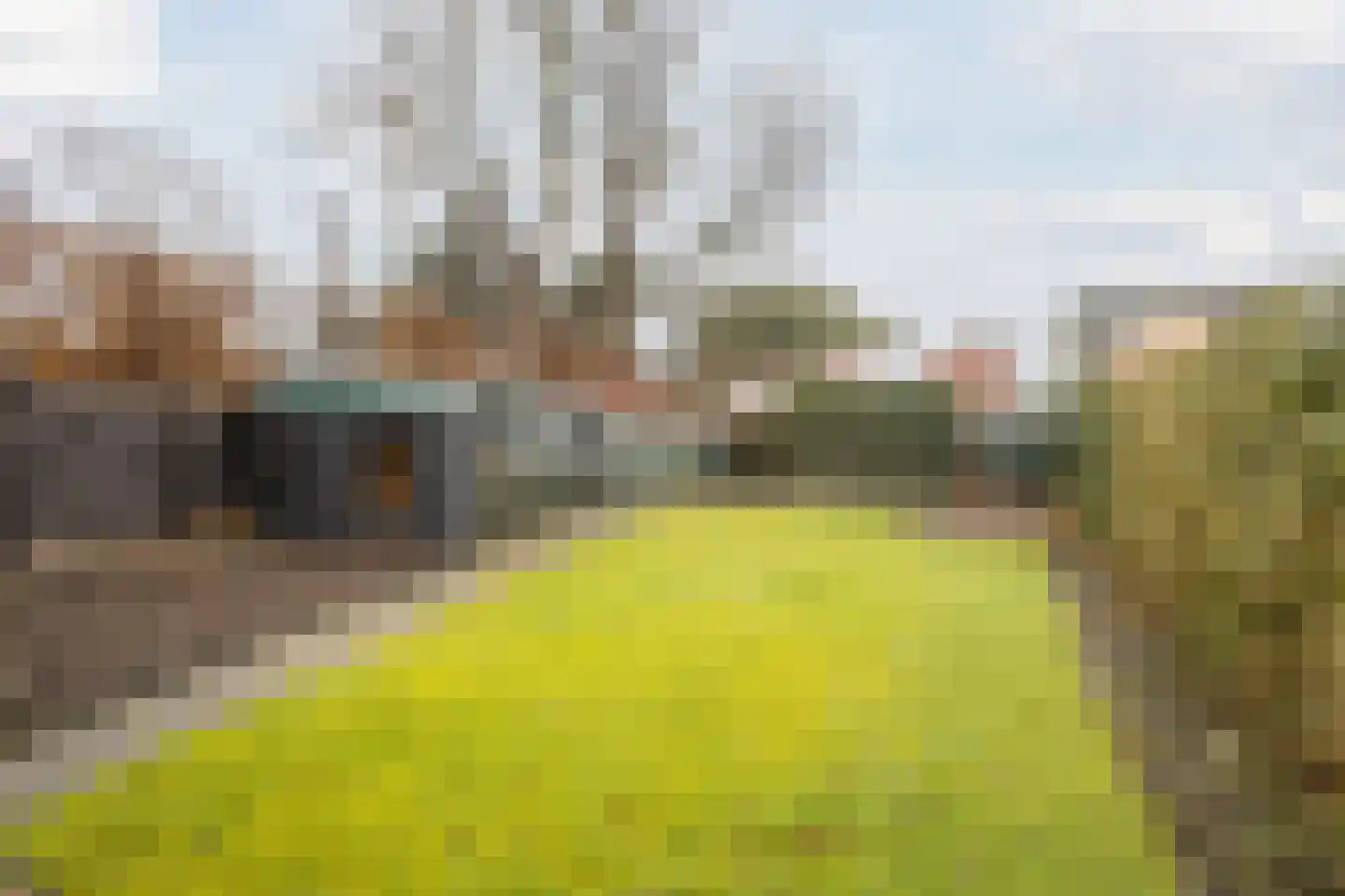 Burg.Bosch Bruiststraat 24 Nieuwleusen thumbnail 35