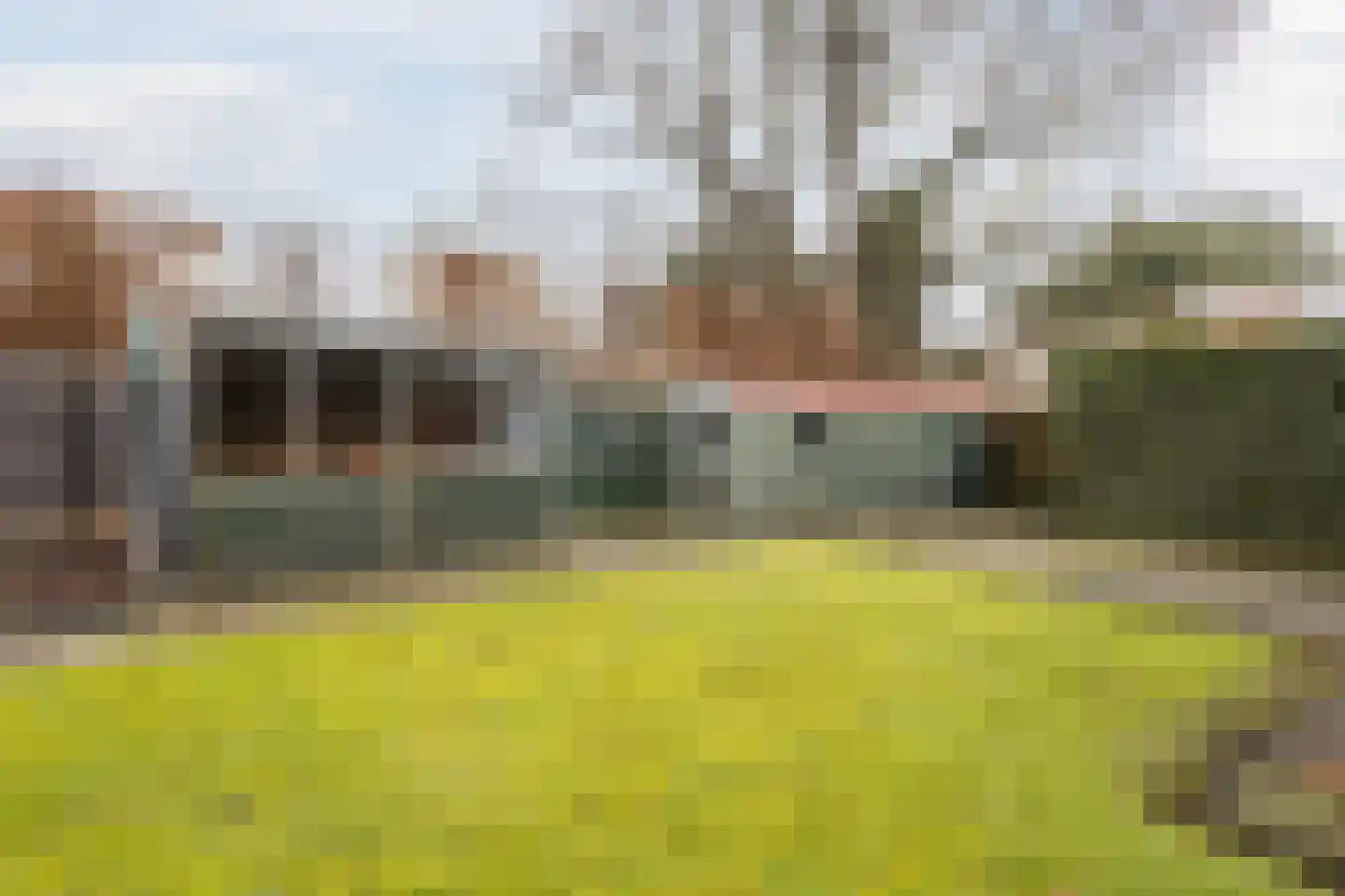 Burg.Bosch Bruiststraat 24 Nieuwleusen thumbnail 36