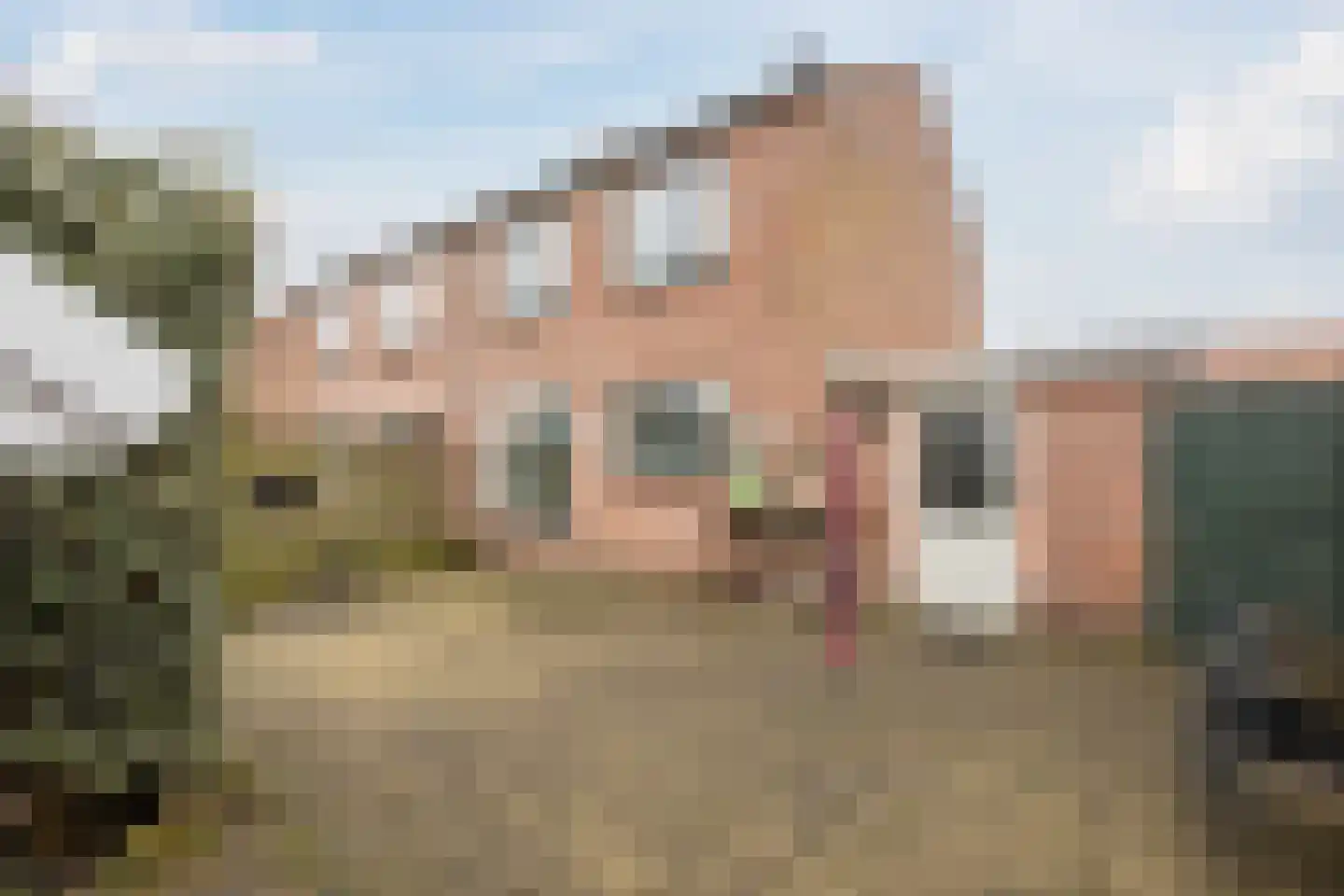 Burg.Bosch Bruiststraat 24 Nieuwleusen thumbnail 39