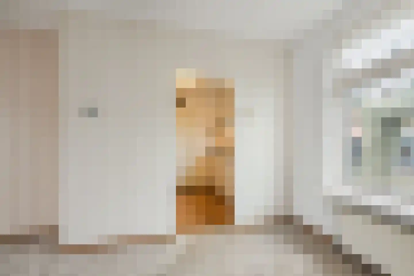Burg.Bosch Bruiststraat 24 Nieuwleusen thumbnail 8