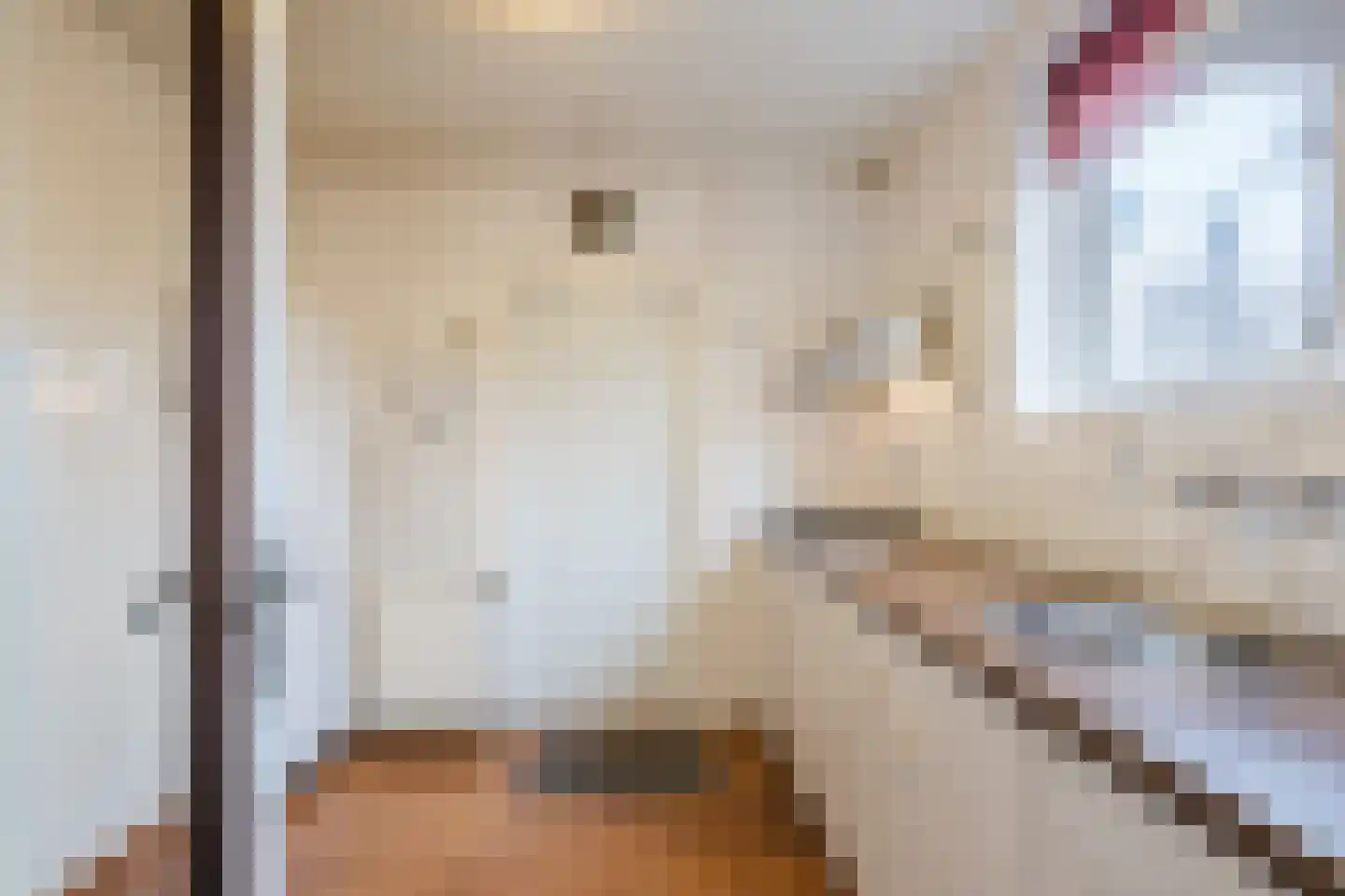 Burg.Bosch Bruiststraat 24 Nieuwleusen thumbnail 9