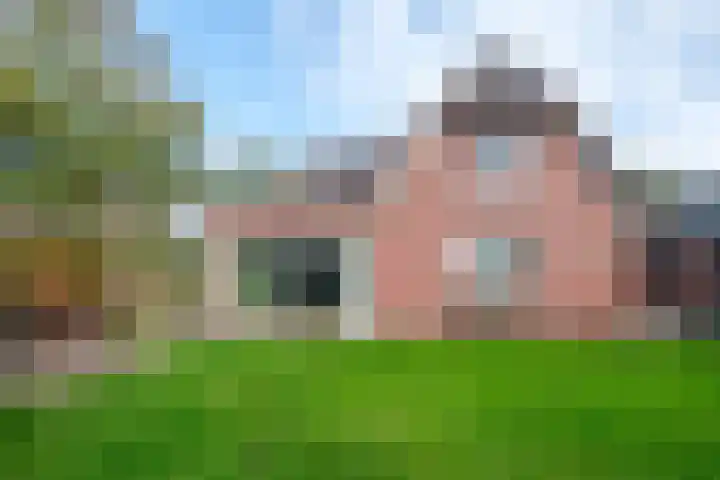 Burg.Bosch Bruiststraat 37 Nieuwleusen thumbnail 31