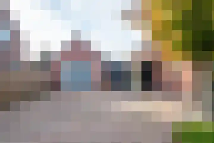 Burg.Bosch Bruiststraat 37 Nieuwleusen thumbnail 42