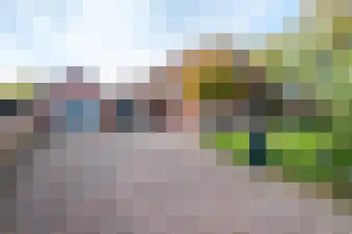 Burg.Bosch Bruiststraat 37 Nieuwleusen thumbnail 44