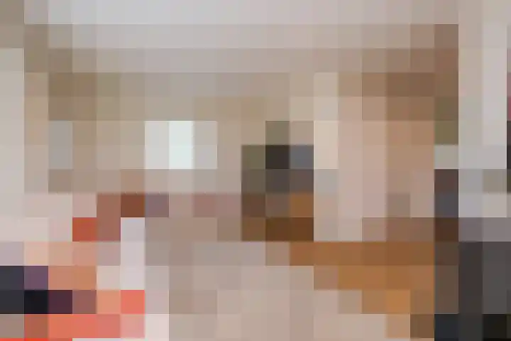 Burg.Bosch Bruiststraat 37 Nieuwleusen thumbnail 6