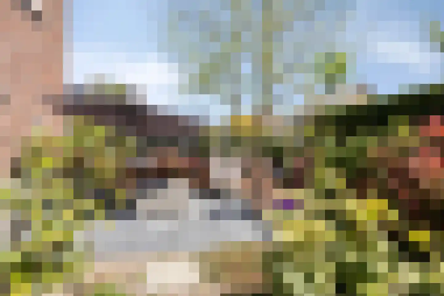 Burg Buissinkstraat 24 Zaltbommel thumbnail 35