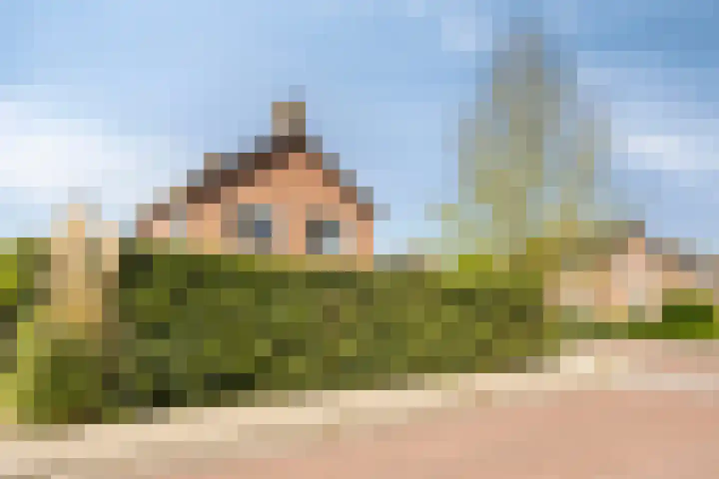 Burg Buissinkstraat 24 Zaltbommel thumbnail 45