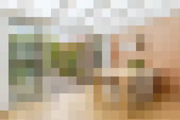 Burg. Burgersstraat 22 Haaren thumbnail 11