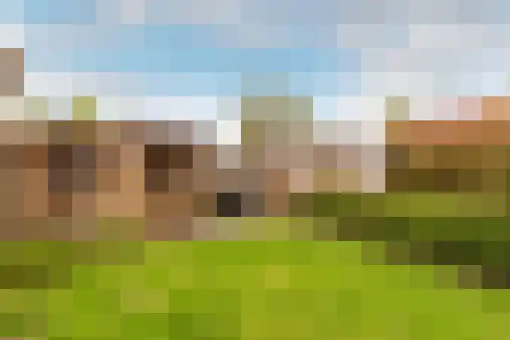 Burg. Burgersstraat 22 Haaren thumbnail 30