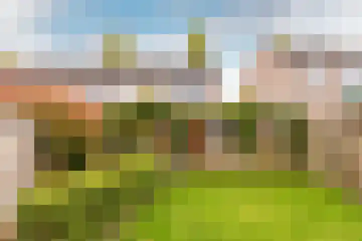 Burg. Burgersstraat 22 Haaren thumbnail 32