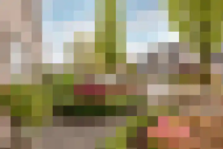 Burg. Burgersstraat 22 Haaren thumbnail 36