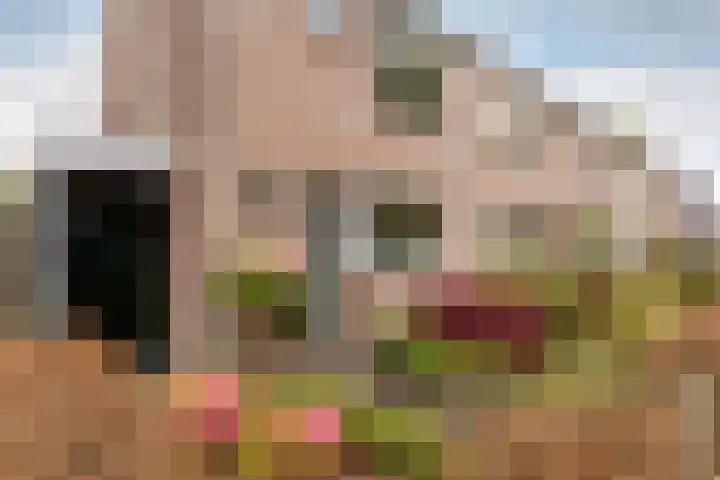 Burg. Burgersstraat 22 Haaren thumbnail 37