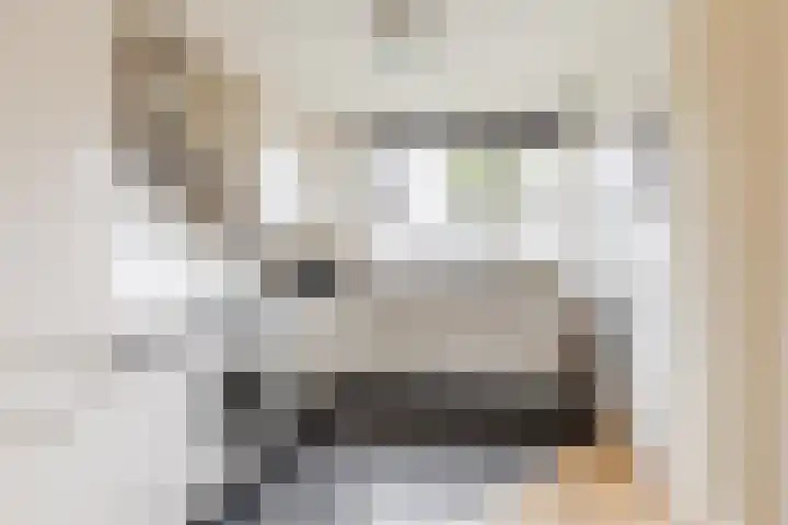 Burg. Burgersstraat 22 Haaren thumbnail 5