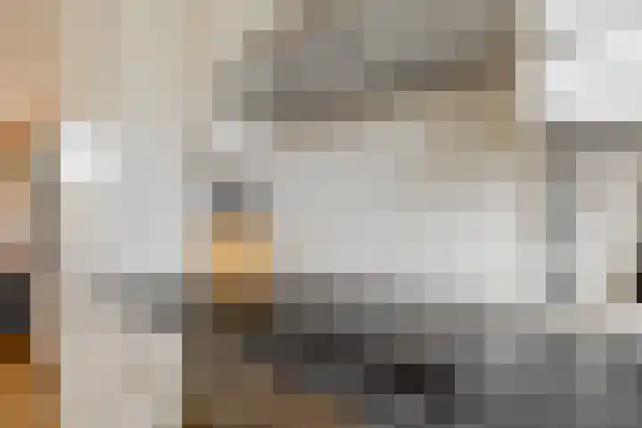Burg. Burgersstraat 22 Haaren thumbnail 6