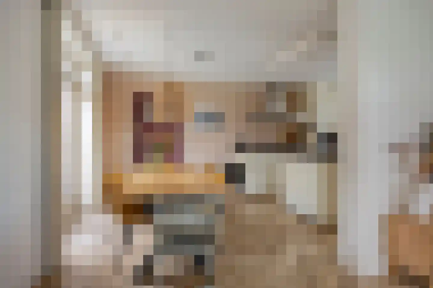 Burg. Burgerstraat 5 Warmenhuizen thumbnail 11