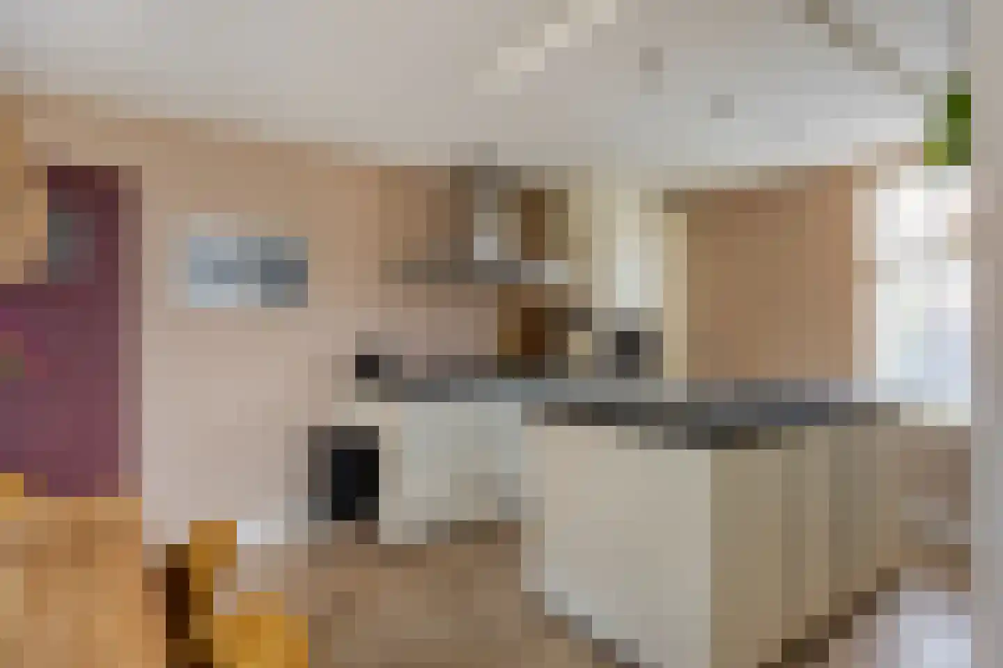 Burg. Burgerstraat 5 Warmenhuizen thumbnail 12