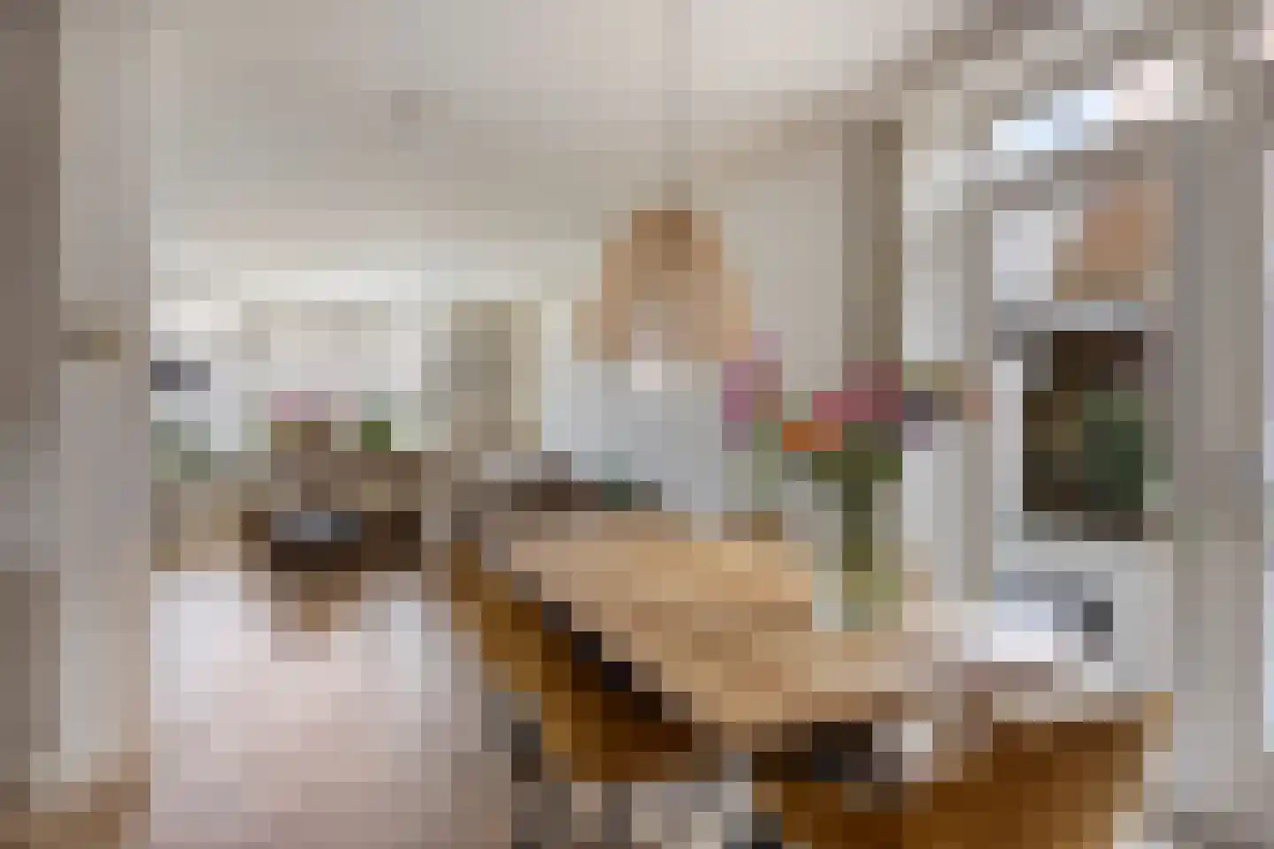 Burg. Burgerstraat 5 Warmenhuizen thumbnail 13