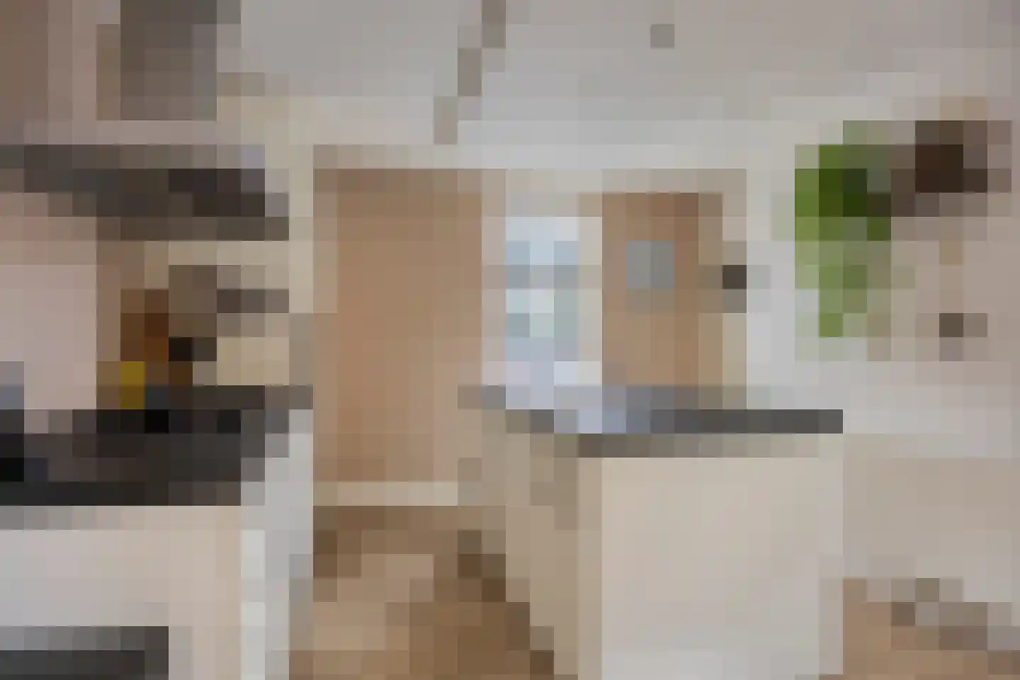 Burg. Burgerstraat 5 Warmenhuizen thumbnail 14