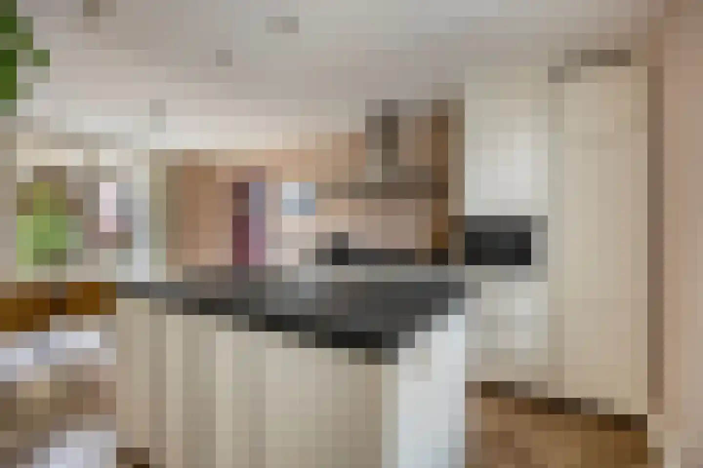 Burg. Burgerstraat 5 Warmenhuizen thumbnail 15