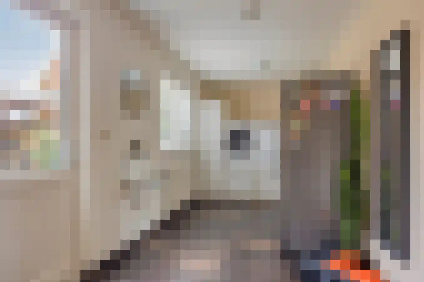 Burg. Burgerstraat 5 Warmenhuizen thumbnail 21