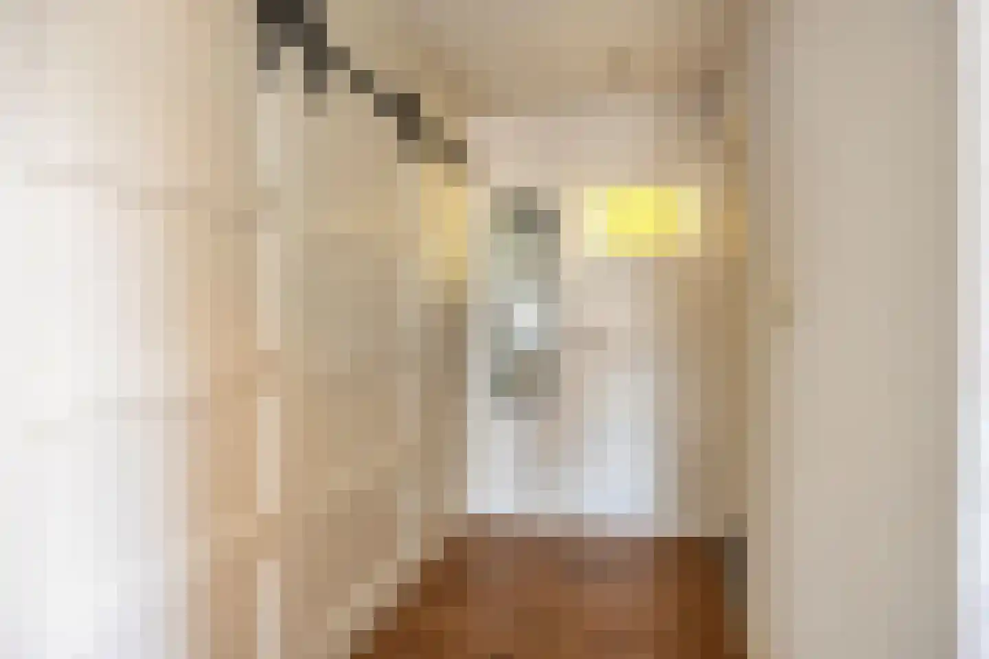 Burg. Burgerstraat 5 Warmenhuizen thumbnail 23