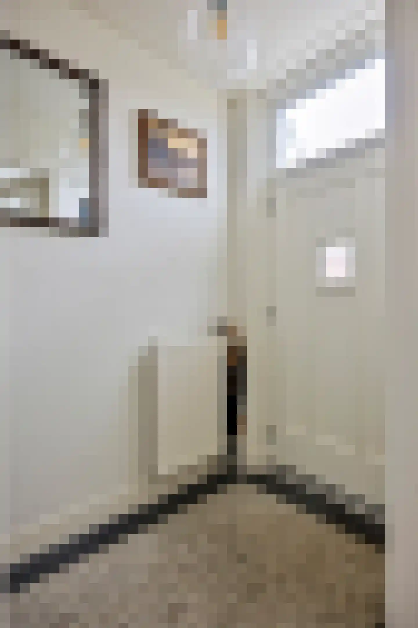 Burg. Burgerstraat 5 Warmenhuizen thumbnail 6