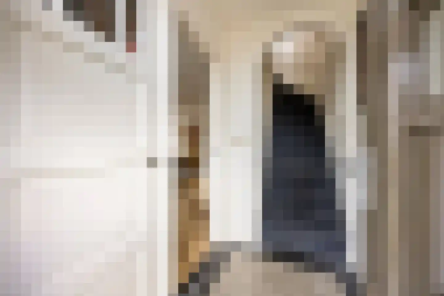 Burg. Burgerstraat 5 Warmenhuizen thumbnail 7