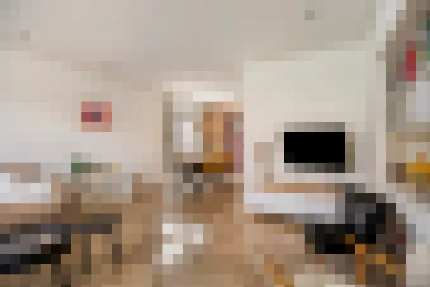 Burg. Burgerstraat 5 Warmenhuizen thumbnail 9