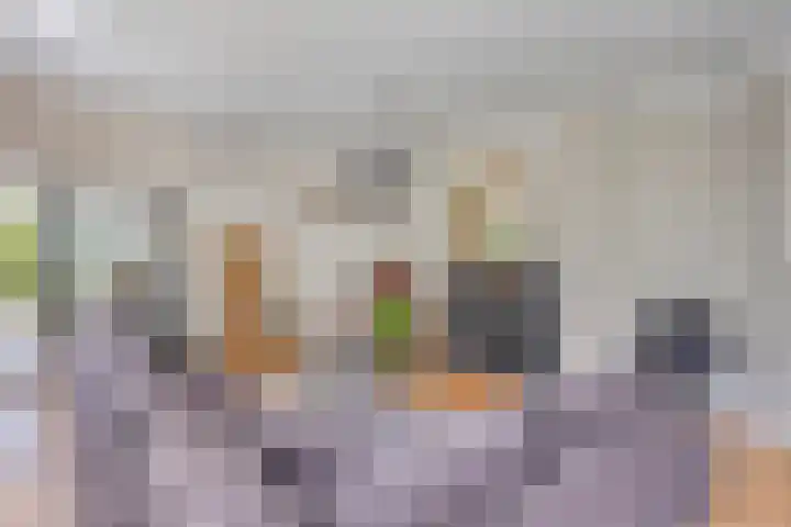 Burg C Zaaijerlaan 6 Dirksland thumbnail 10