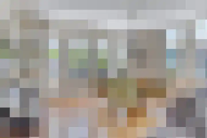 Burg C Zaaijerlaan 6 Dirksland thumbnail 12