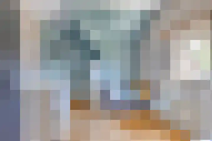 Burg C Zaaijerlaan 6 Dirksland thumbnail 32