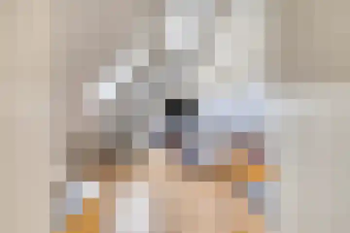 Burg C Zaaijerlaan 6 Dirksland thumbnail 36