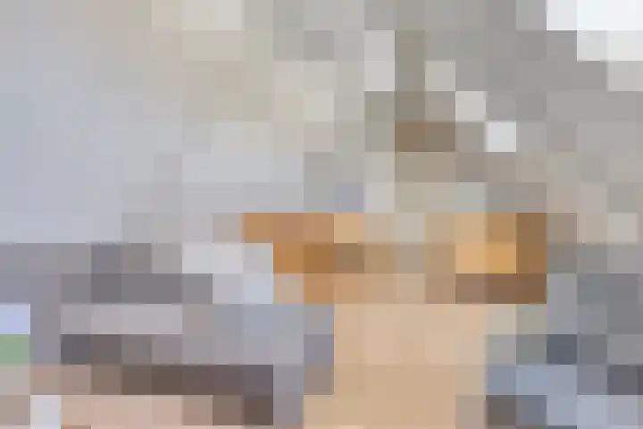 Burg C Zaaijerlaan 6 Dirksland thumbnail 37