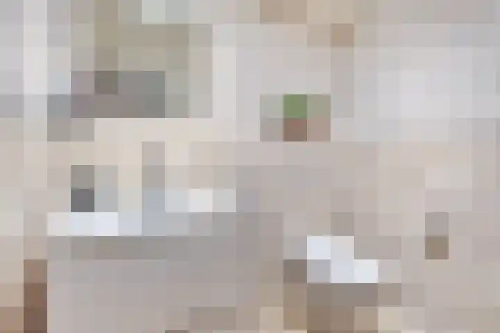 Burg C Zaaijerlaan 6 Dirksland thumbnail 38