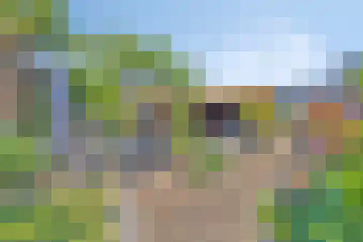 Burg C Zaaijerlaan 6 Dirksland thumbnail 46