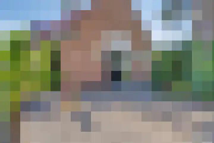 Burg C Zaaijerlaan 6 Dirksland thumbnail 49
