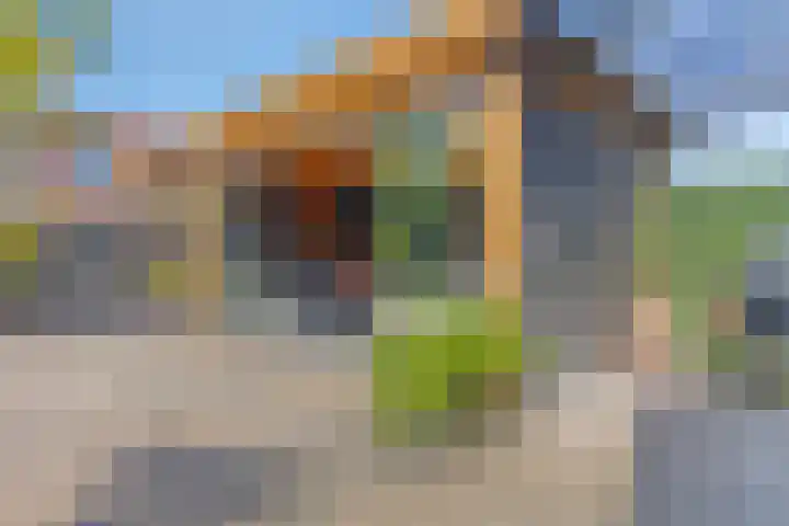 Burg C Zaaijerlaan 6 Dirksland thumbnail 5