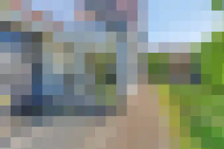 Burg C Zaaijerlaan 6 Dirksland thumbnail 51