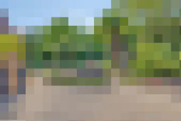 Burg C Zaaijerlaan 6 Dirksland thumbnail 52