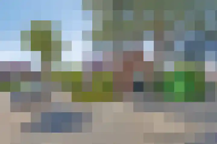 Burg C Zaaijerlaan 6 Dirksland thumbnail 53