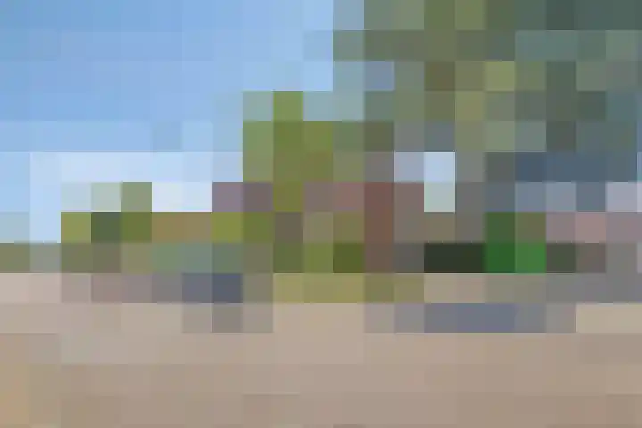 Burg C Zaaijerlaan 6 Dirksland thumbnail 55