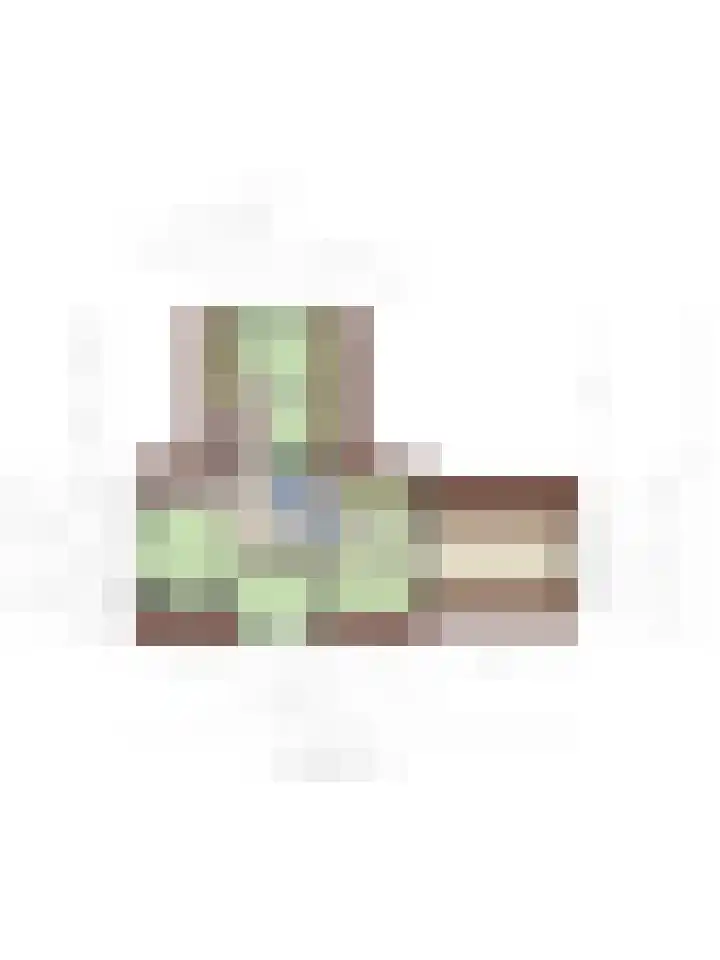 Burg C Zaaijerlaan 6 Dirksland thumbnail 59